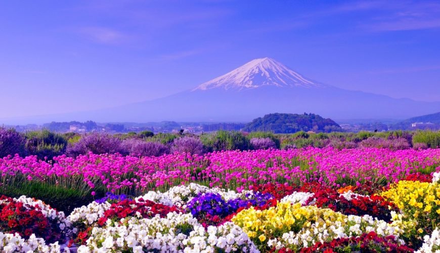 Travel To India, Holiday Vacation Planner, Best India Tour Packages