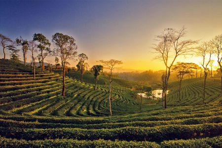 Assam Meghalaya 8 Days Itinerary – 7 Nights & 8 Days