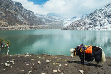 Short Escape to Gangtok – 3 Nights & 4 Days