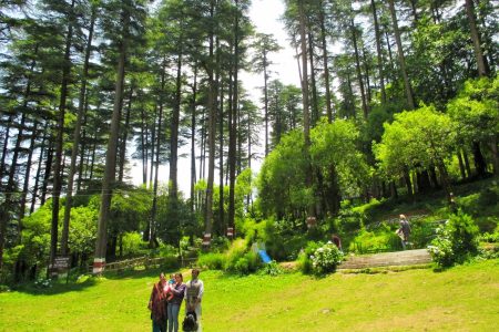 Mussoorie Auli Tour Package from Dehradun – 7 Nights & 8 Days