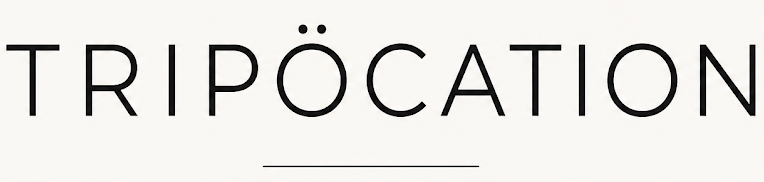 My Blog